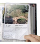 LUPA "PÁGINA ENTERA"